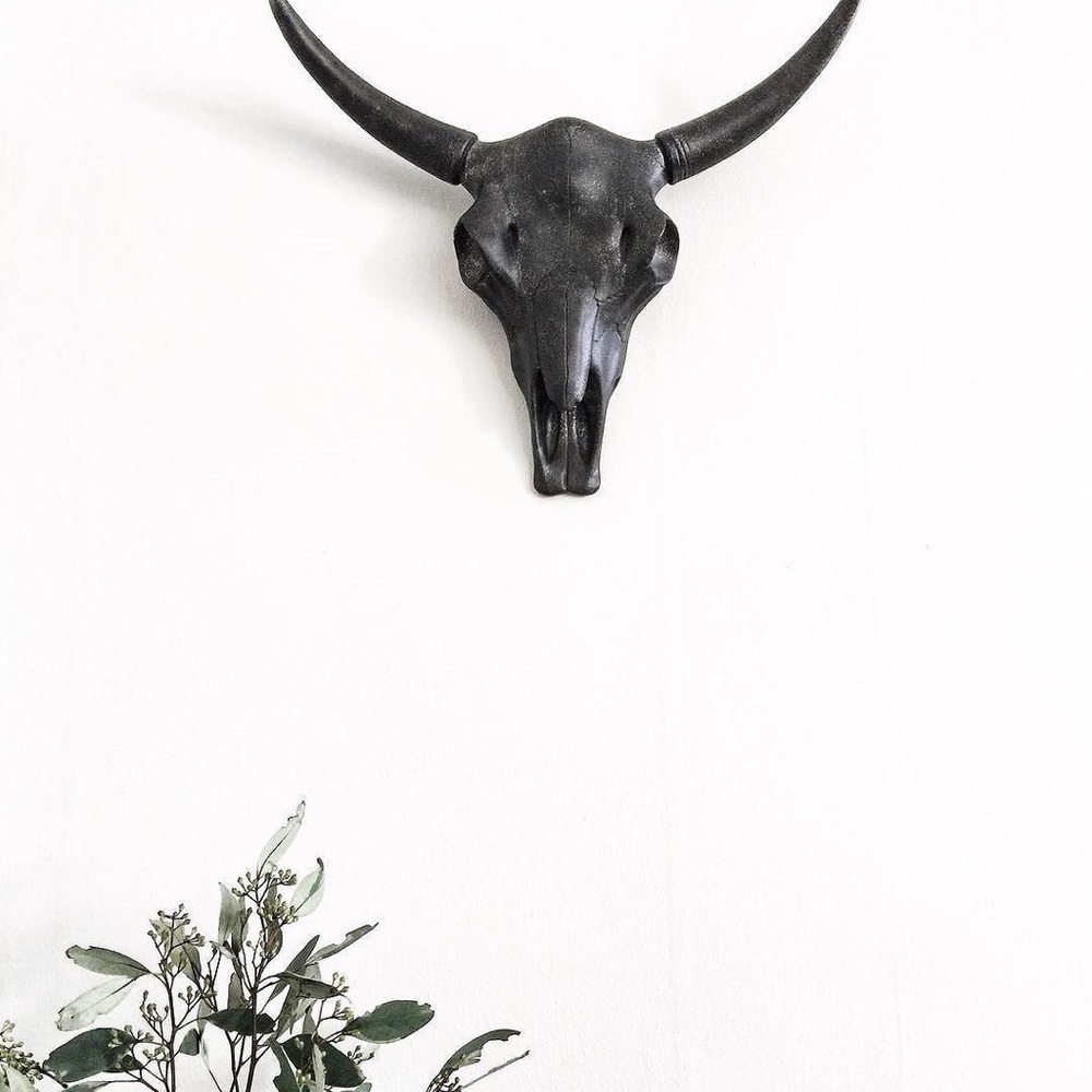 Target Cow Skull Wall/Table Decor